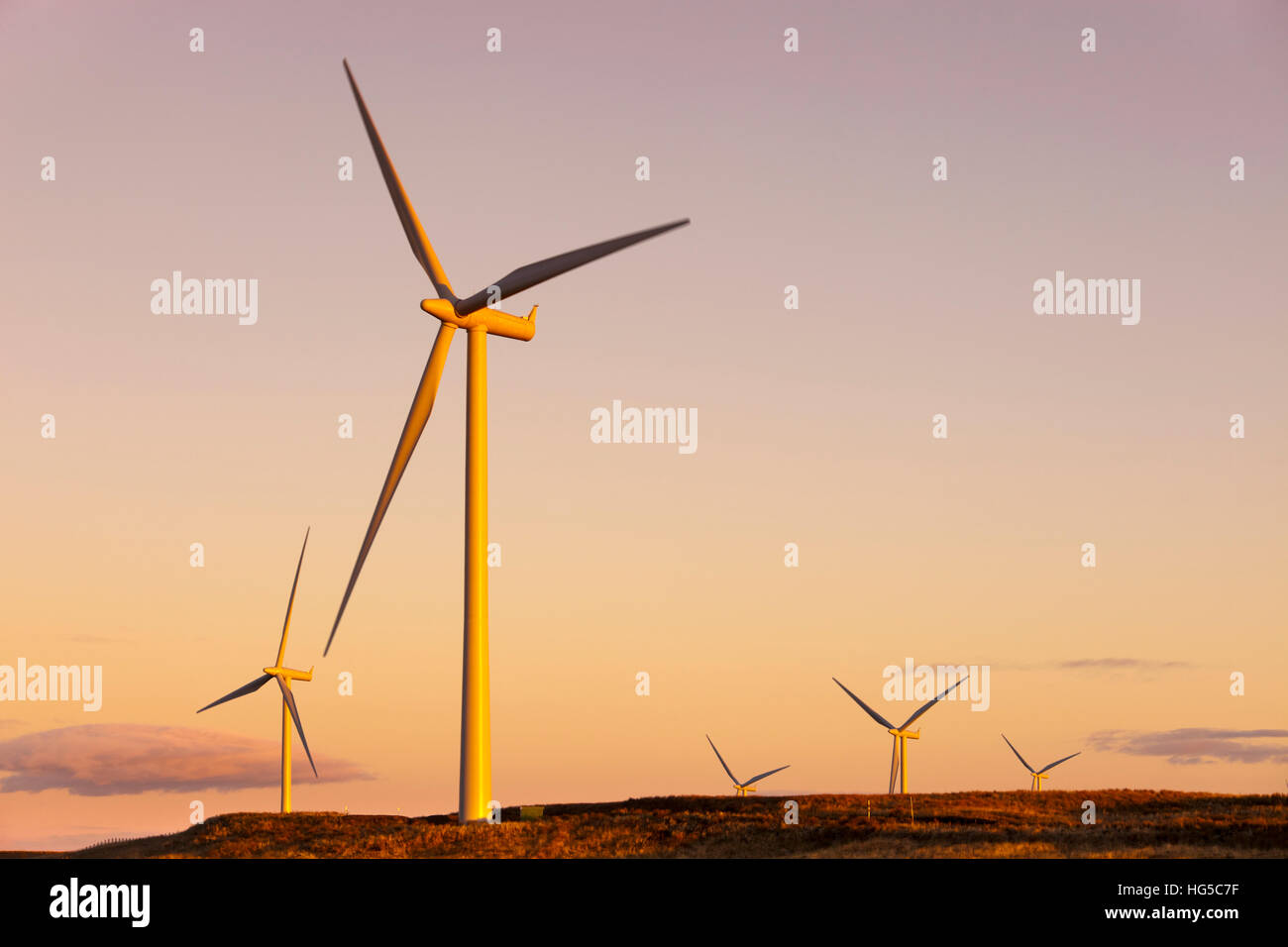 Wind turbines at sunset, Whitelee Wind Farm, East Renfrewshire, Scotland, United Kingdom Stock Photo