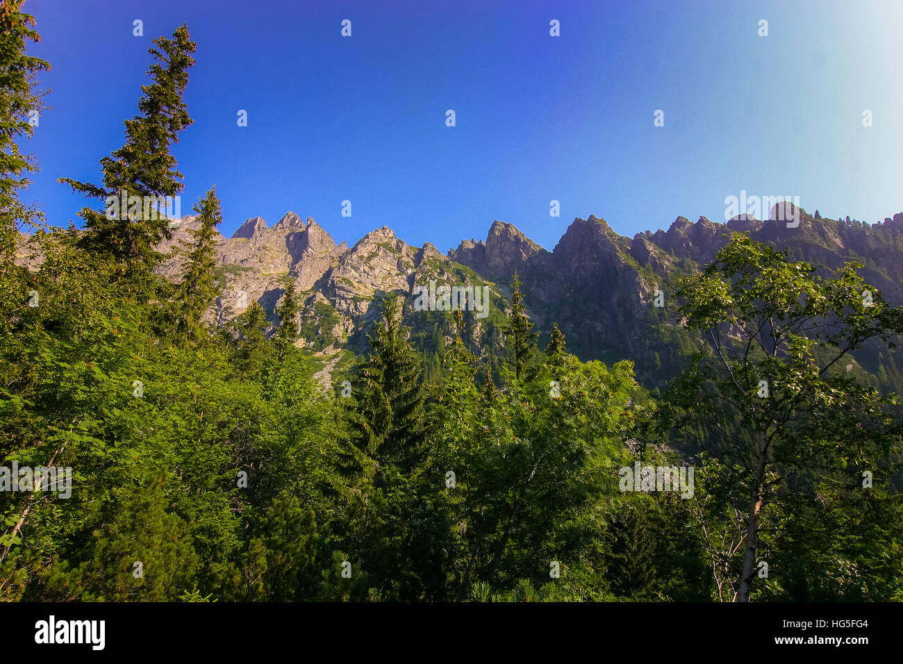 A beautiful mountain landscape with trees Stock Photo - Alamy