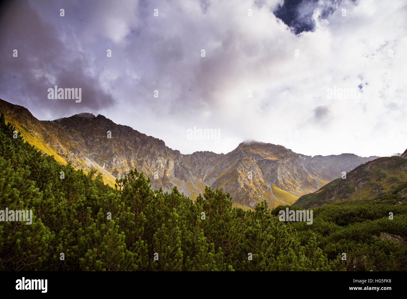A beautiful mountain landscape with trees Stock Photo - Alamy