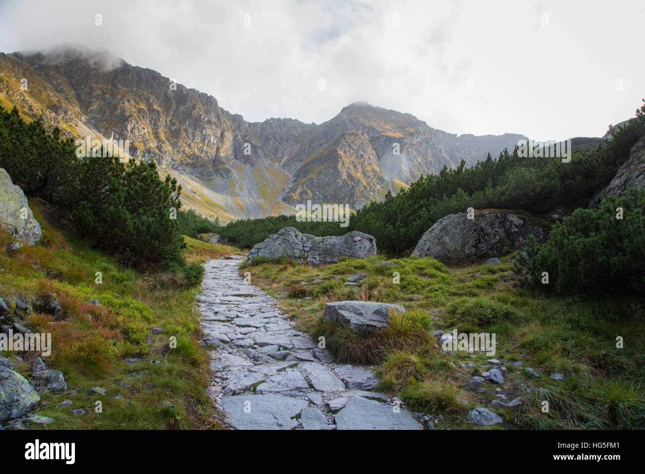 A beautiful mountain landscape with trees Stock Photo - Alamy