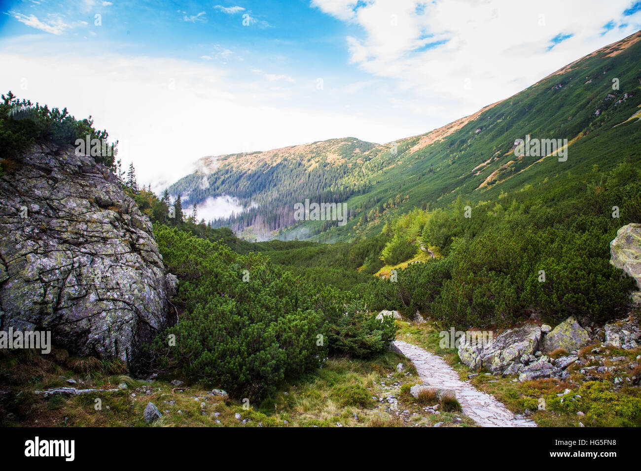 A beautiful mountain landscape with trees Stock Photo - Alamy