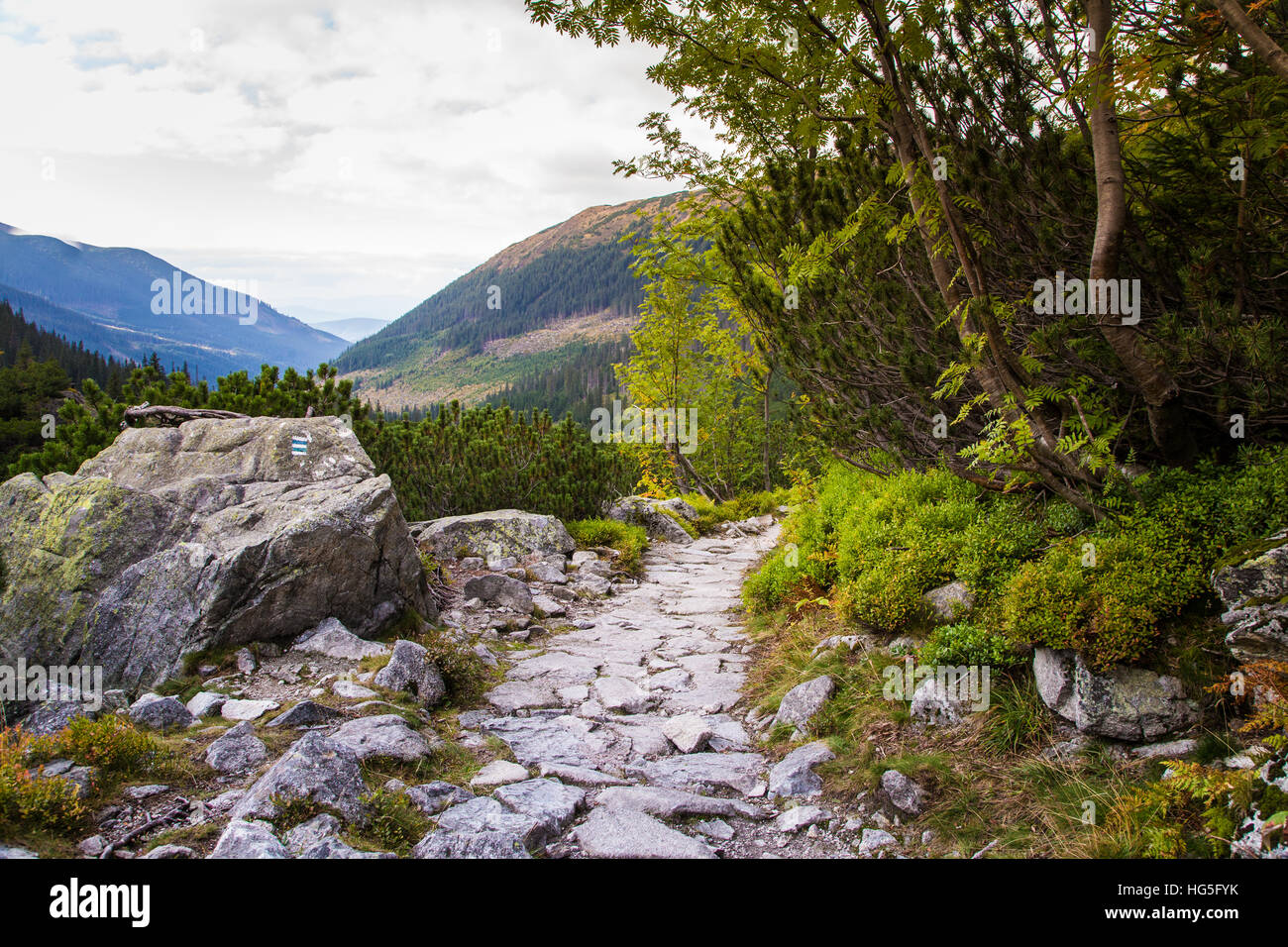 A beautiful mountain landscape with trees Stock Photo