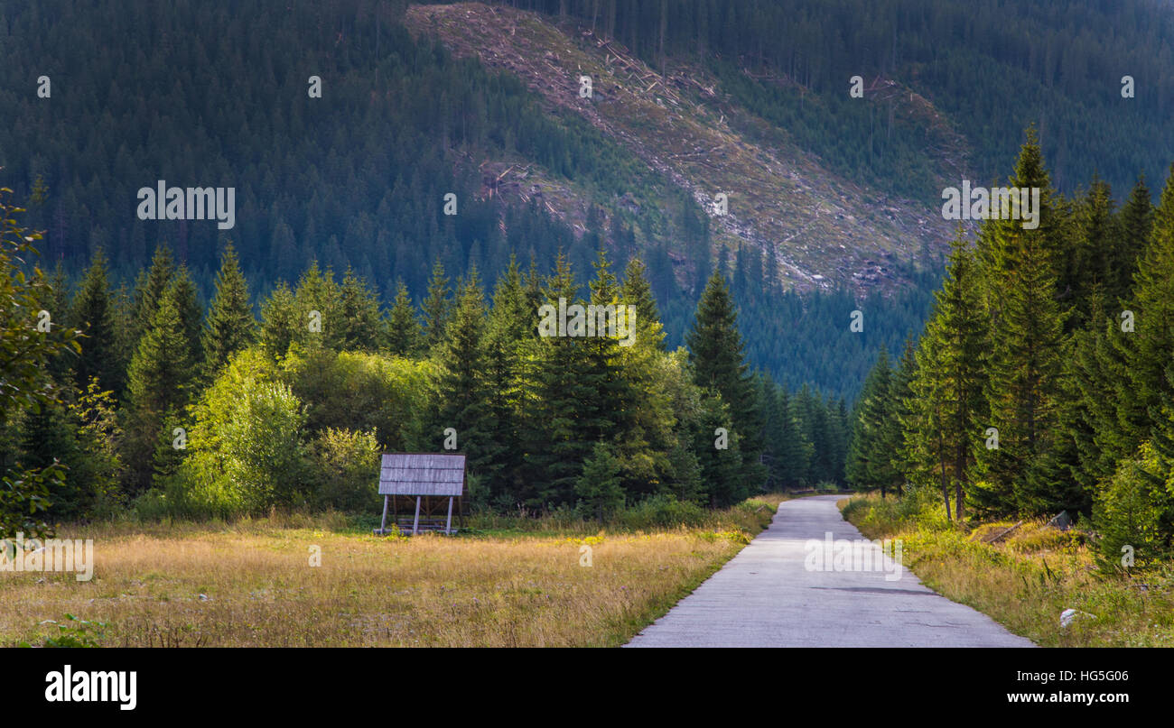 A beautiful mountain landscape with trees Stock Photo - Alamy