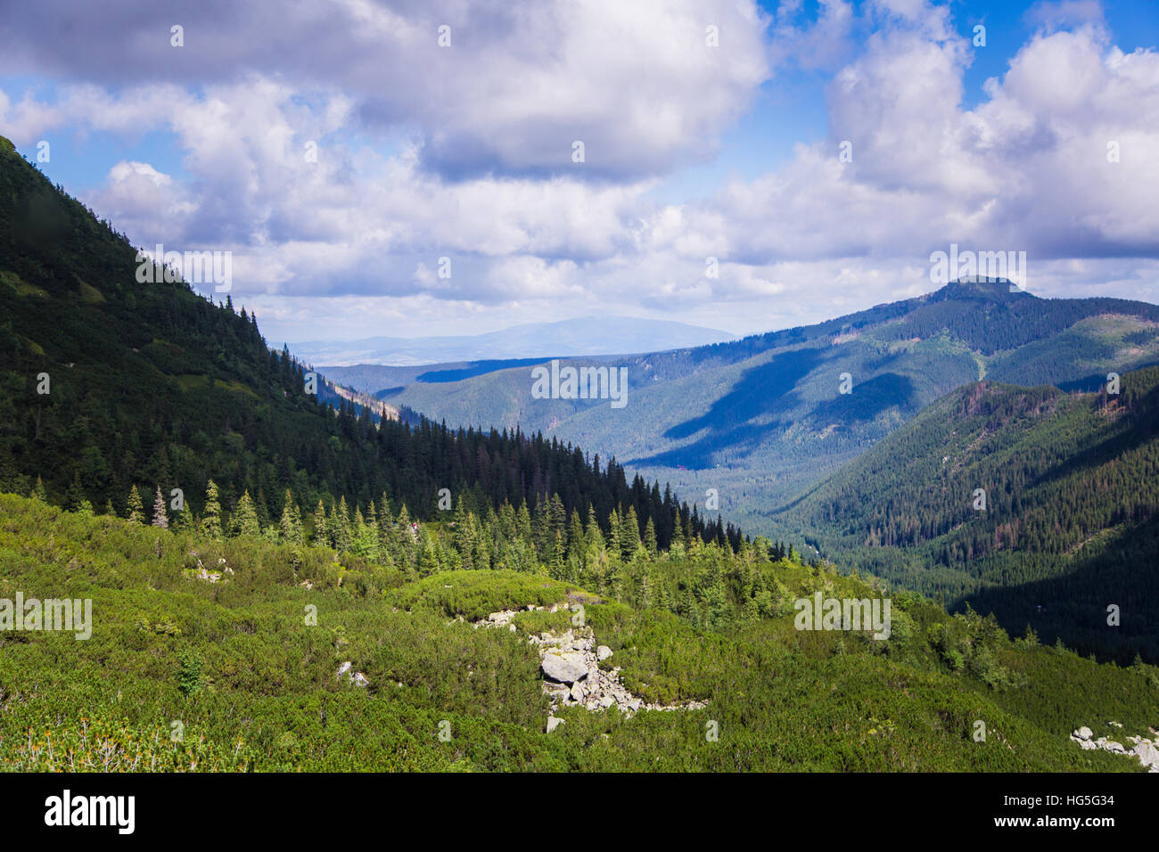 A beautiful mountain landscape with trees Stock Photo