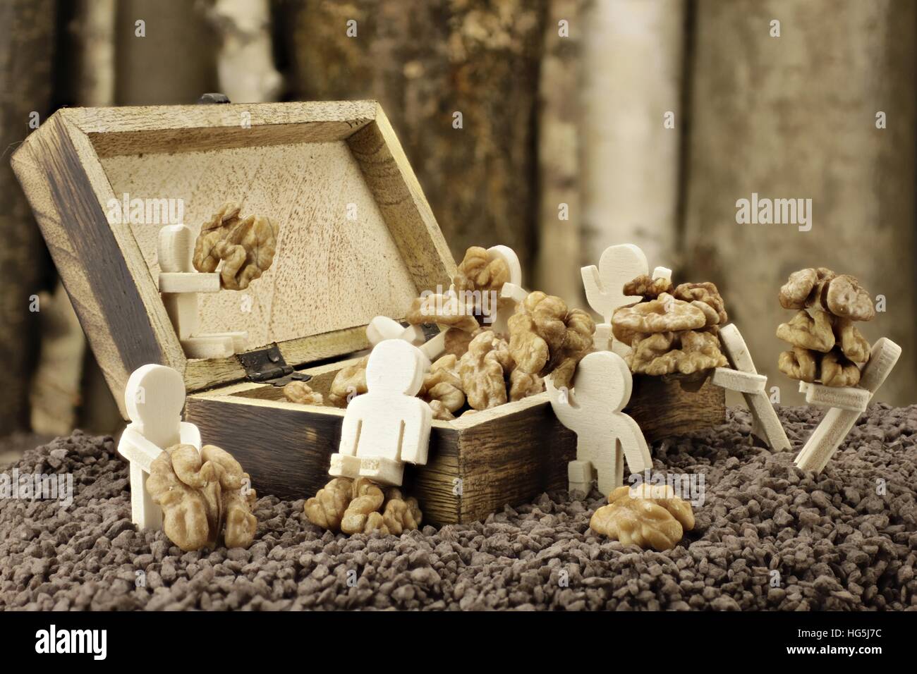 Males gather walnuts - one is sad, it has a hazelnut Stock Photo