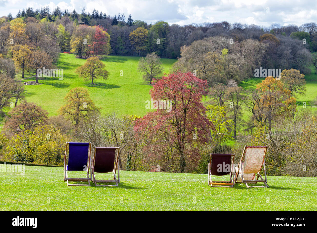 Garden trees grass hi-res stock photography and images - Alamy