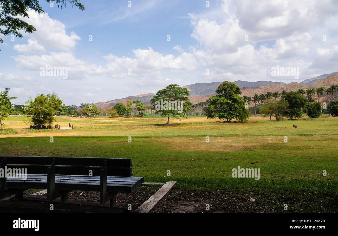 Alone in a wide field hi-res stock photography and images - Alamy
