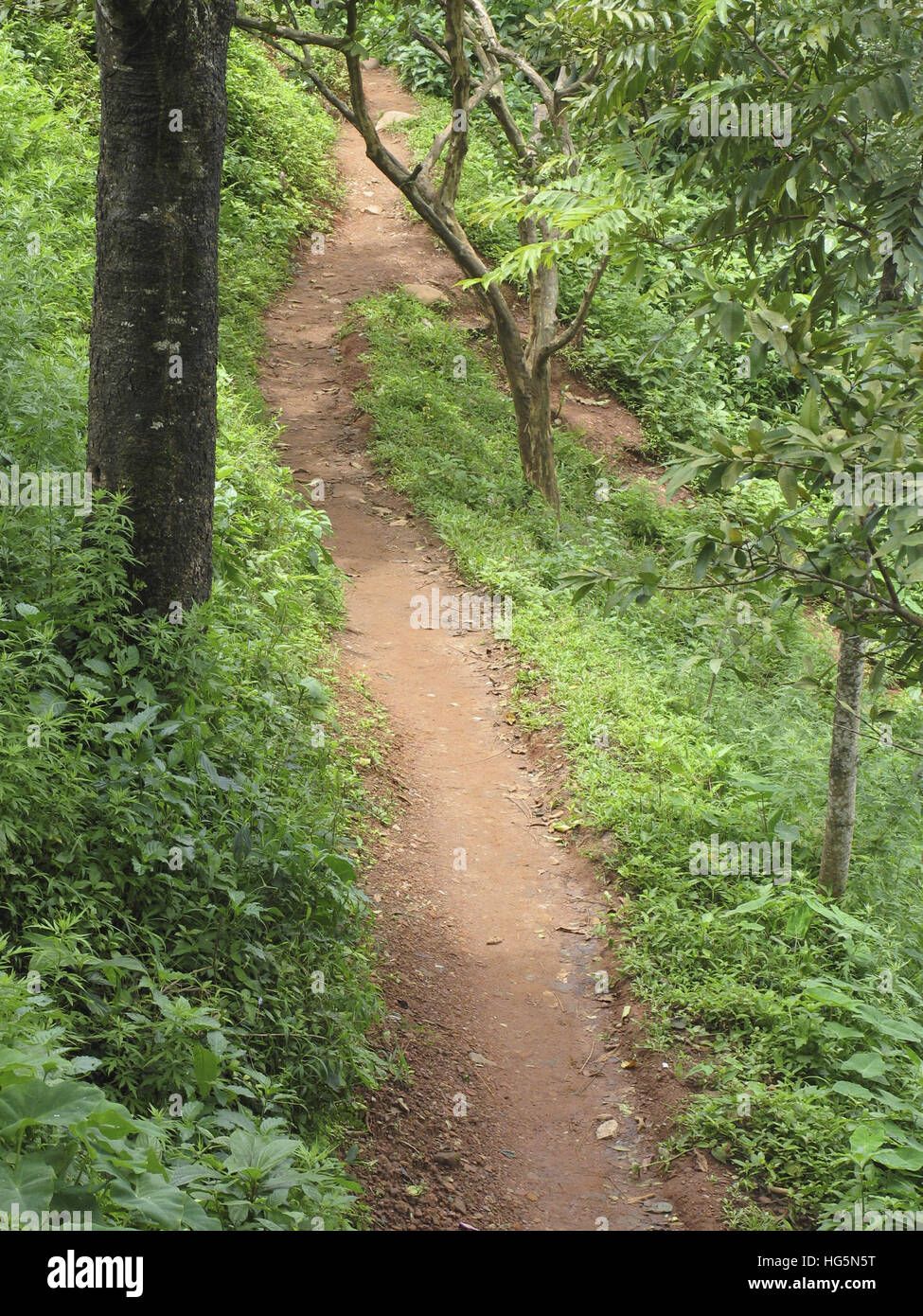 Pathway in Papanashini, Dakshina Kashi, Kerala, India Stock Photo