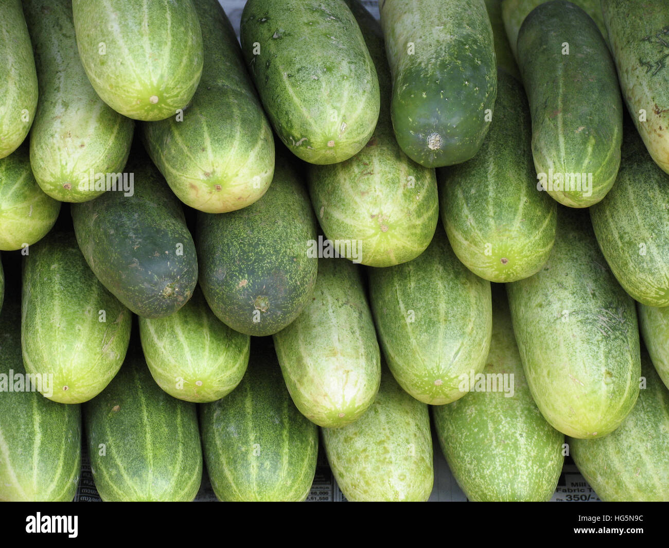 Cucumis sativus Cucumbers for sale Kerala India Stock Photo Alamy