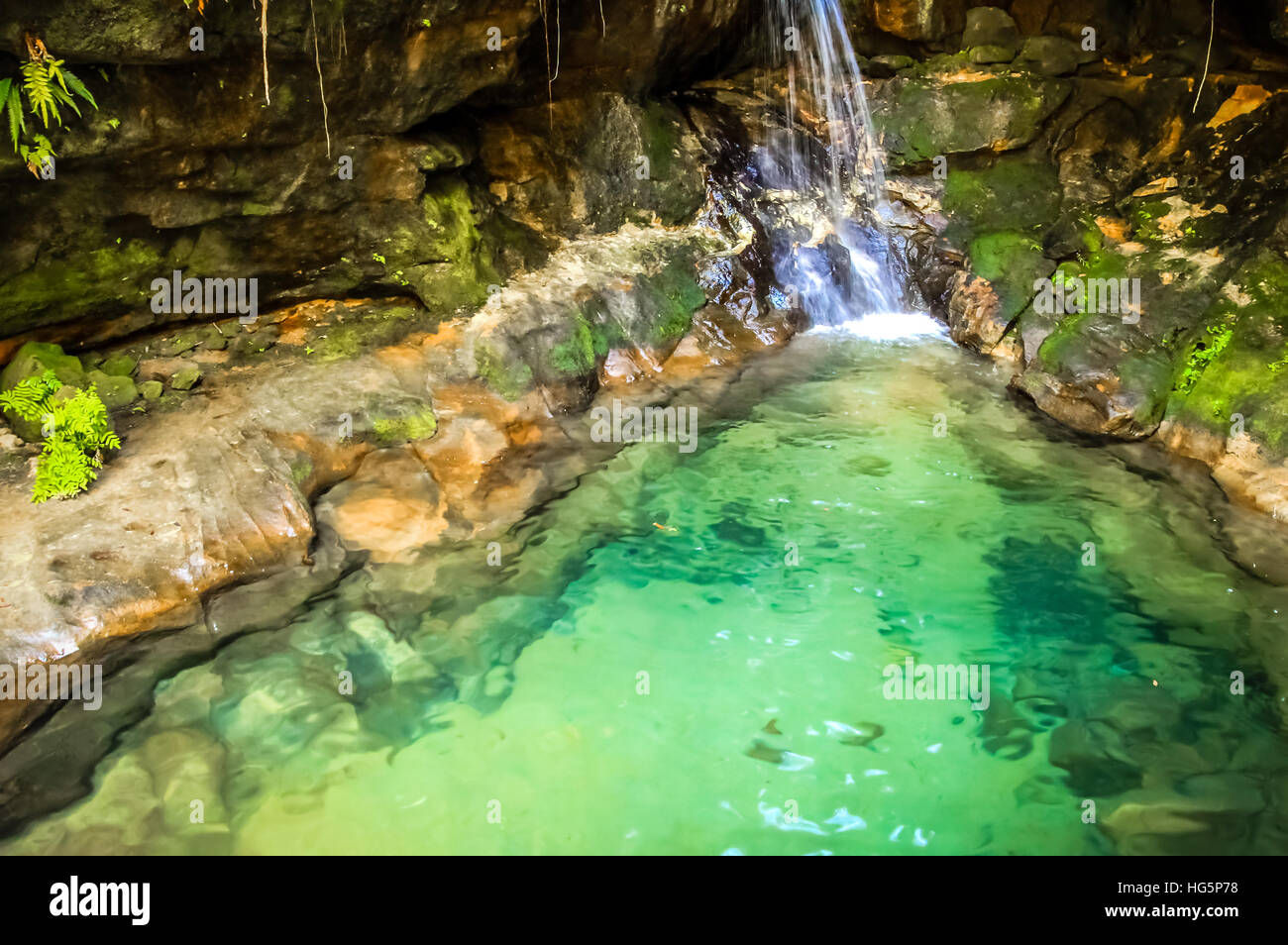 Beautiful natural pool in the Isalo National Park in Madagascar Stock Photo  - Alamy