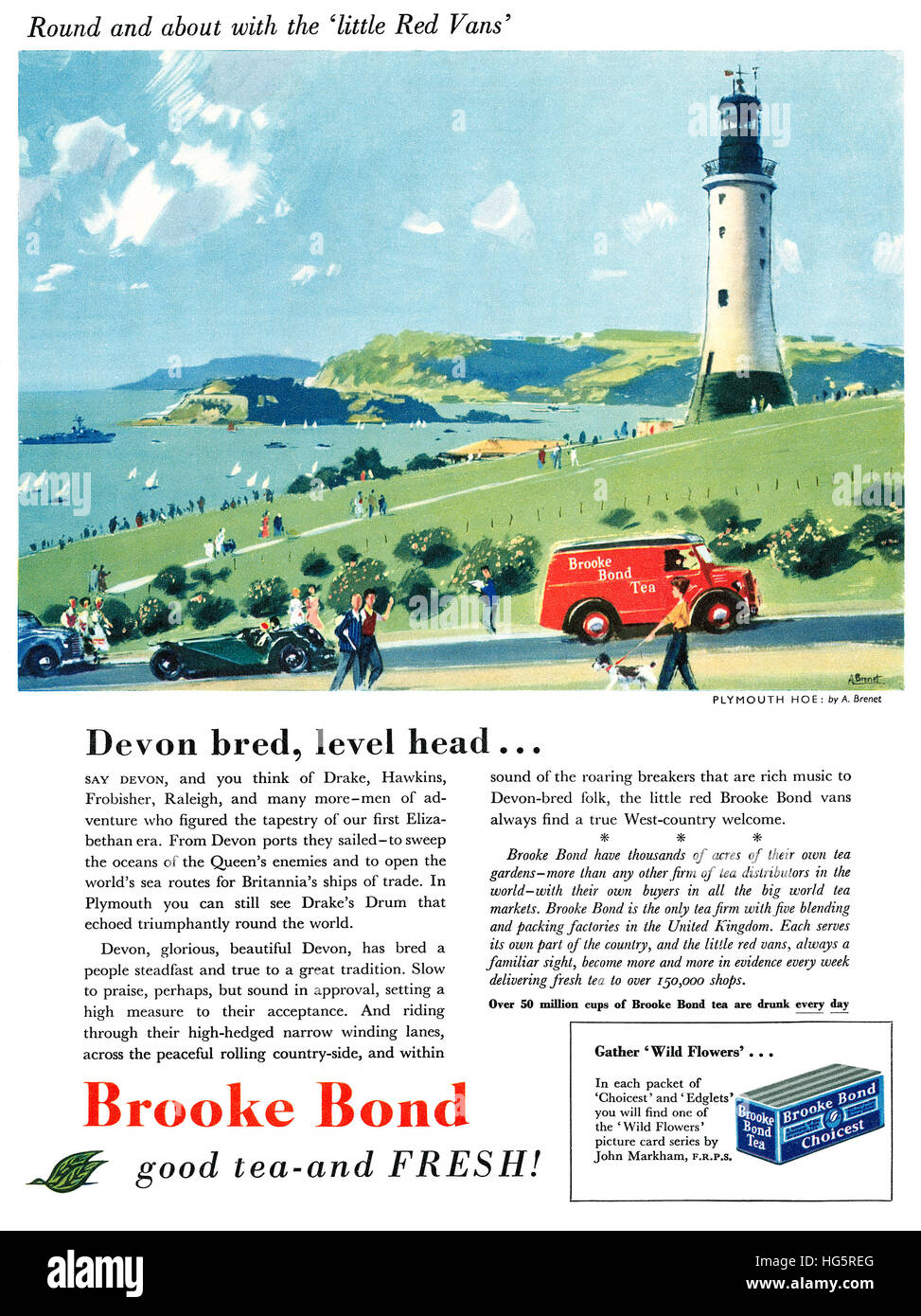 1955 British advertisement for Brooke Bond Tea featuring an illustration of Plymouth Hoe by A. Brent Stock Photo