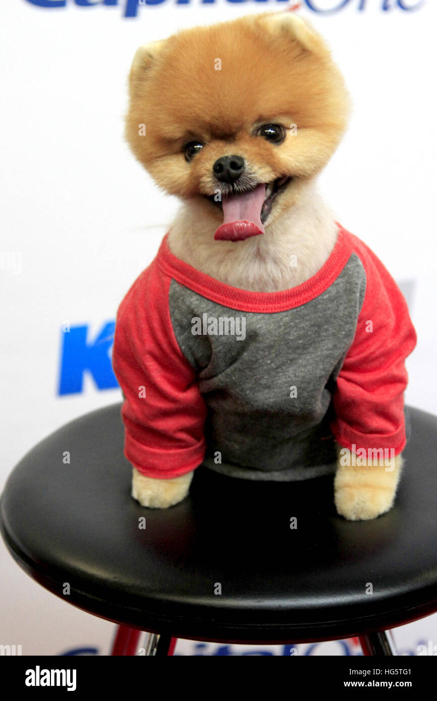 jiffpom dead