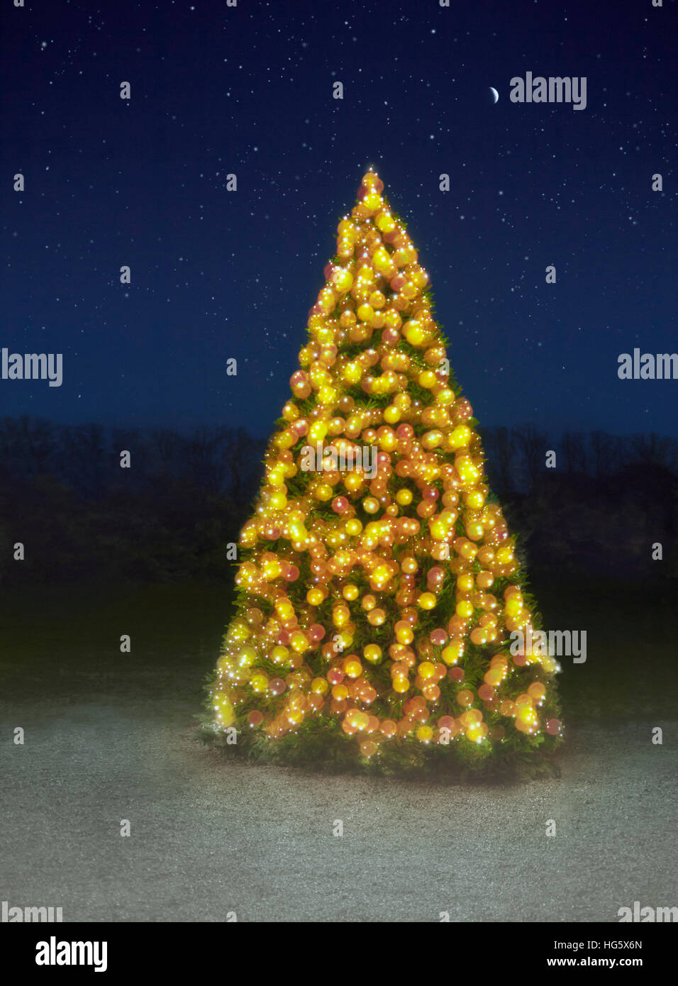 Christmas Tree. Stock Photo