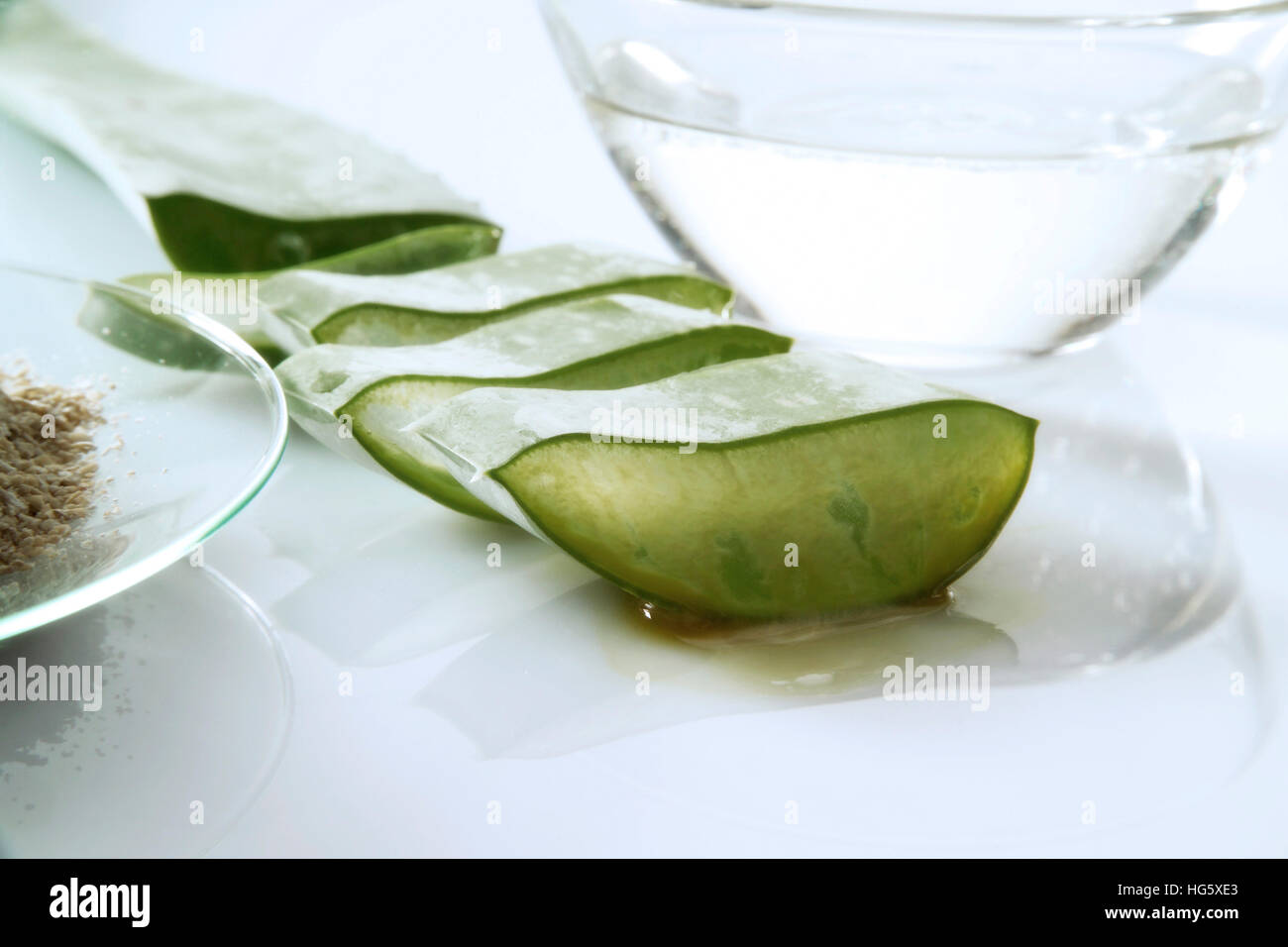Aloe Vera plant, gel Stock Photo Alamy — free download