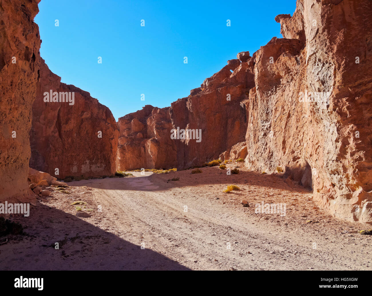 Bolivia, Potosi Departmant, Nor Lipez Province, Valle de las Rocas, Landscape of the Italia Perdida. Stock Photo