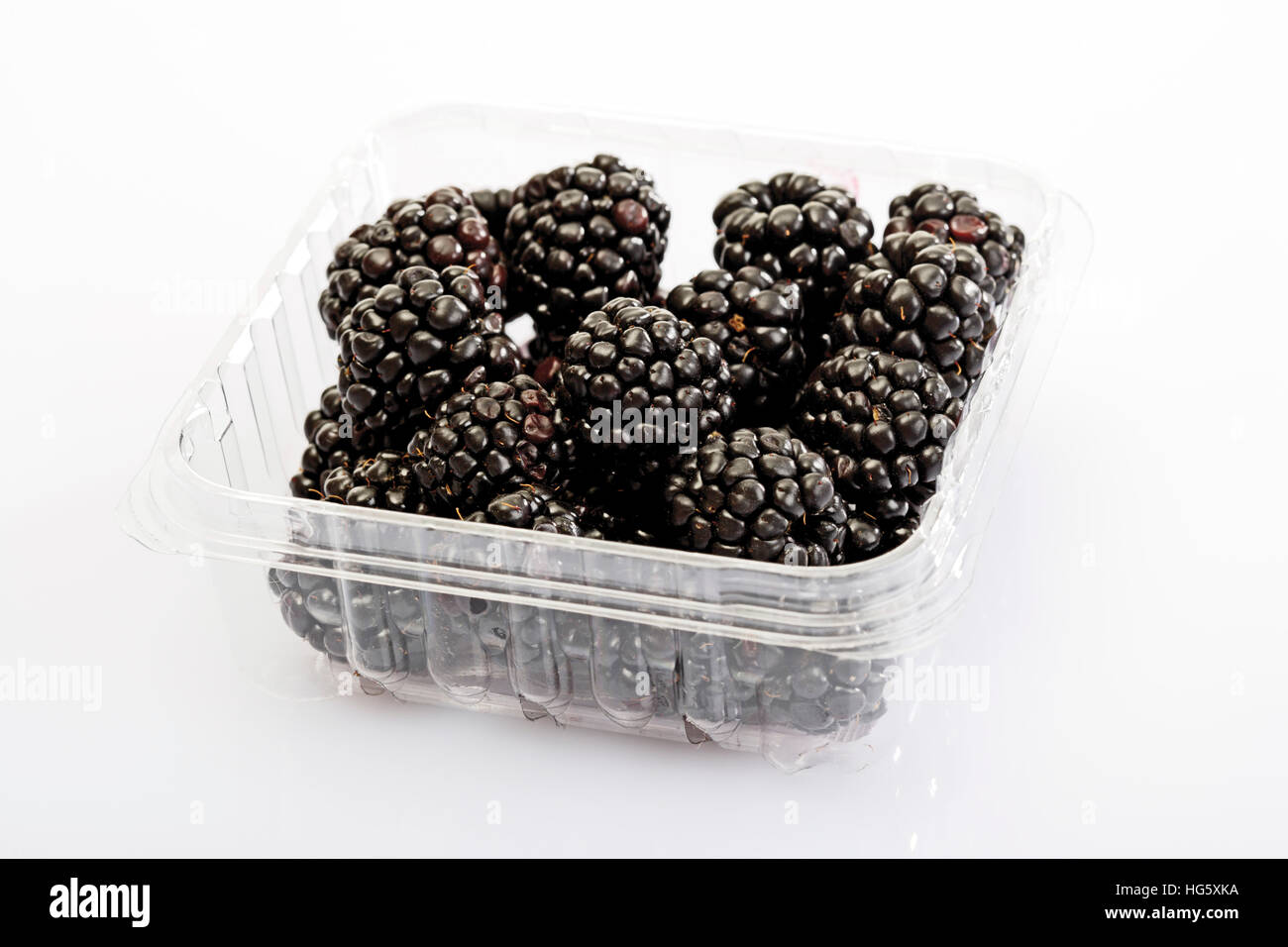 Blackberries in a plastic storage container Stock Photo Alamy