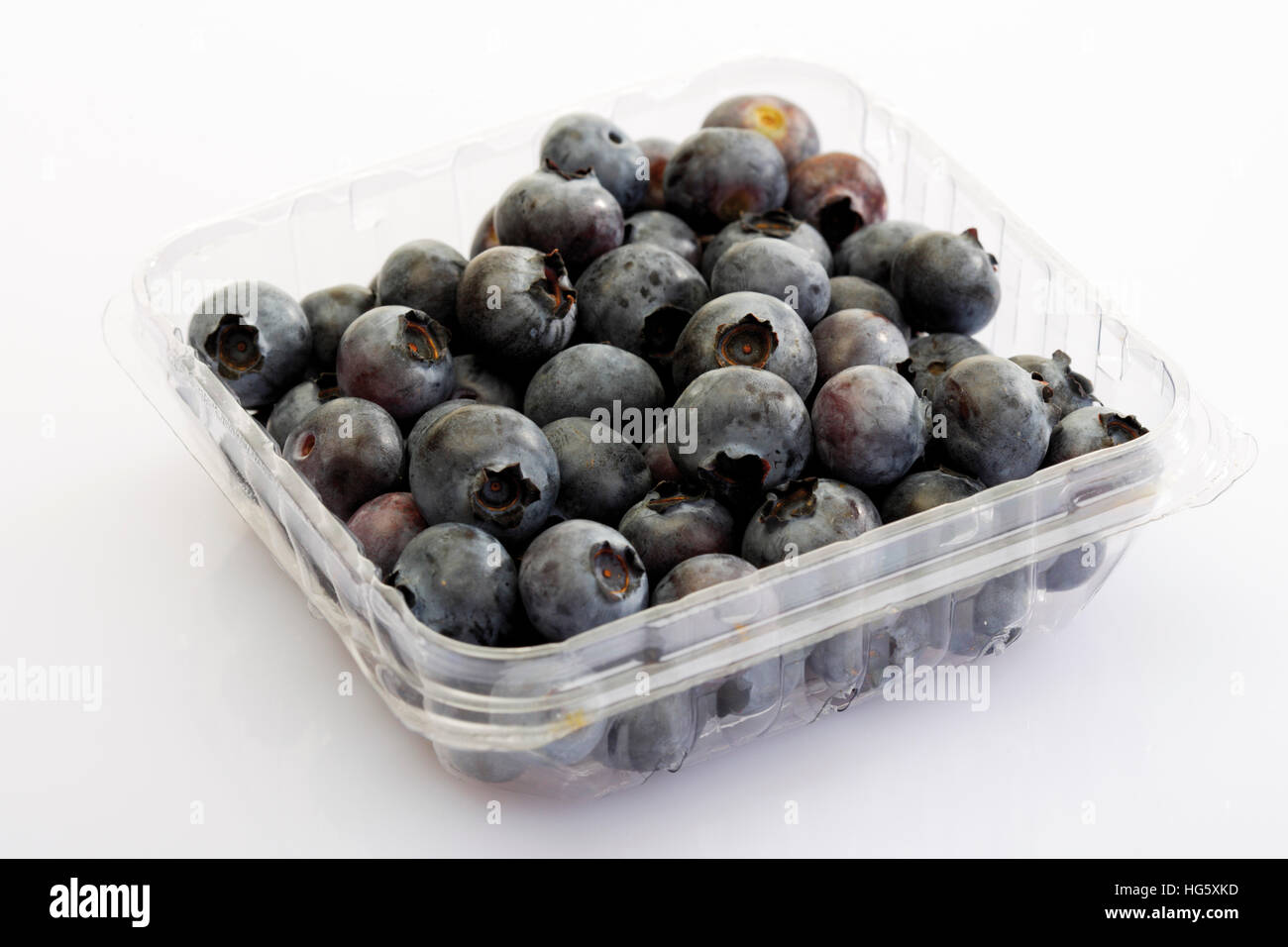 Blueberries in a plastic storage container Stock Photo Alamy