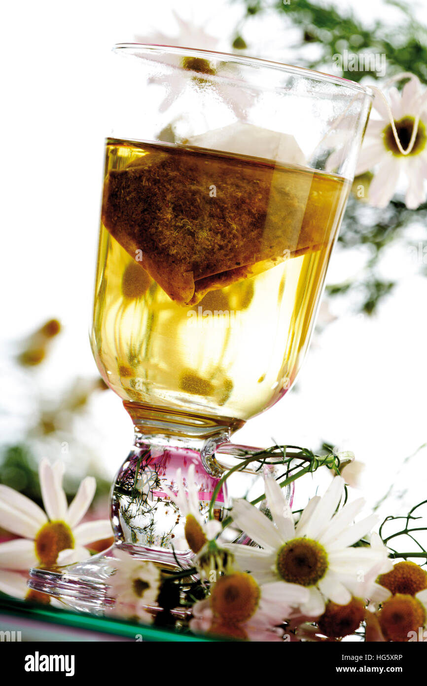 Chamomile tea with German Chamomile (Camomile) flowers (Matricariae
