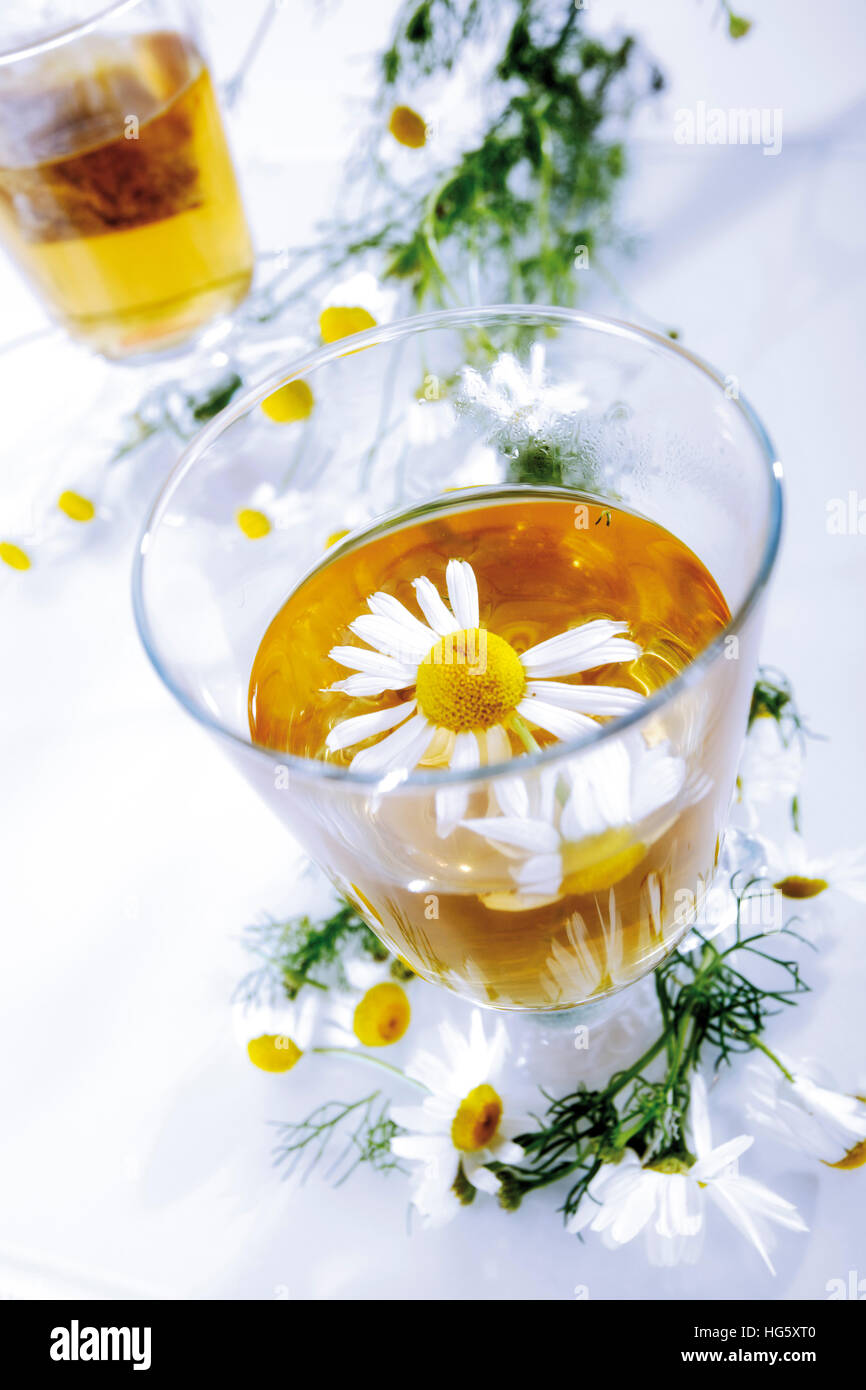 Chamomile tea with German Chamomile (Camomile) flowers (Matricariae