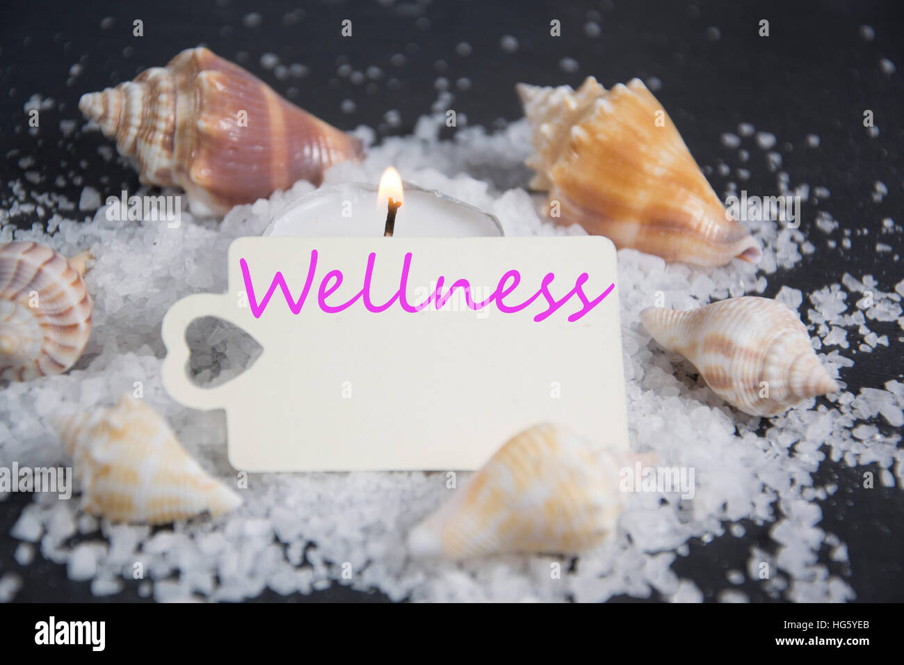Shell with candle light and empty tag for wellness and relaxing ...