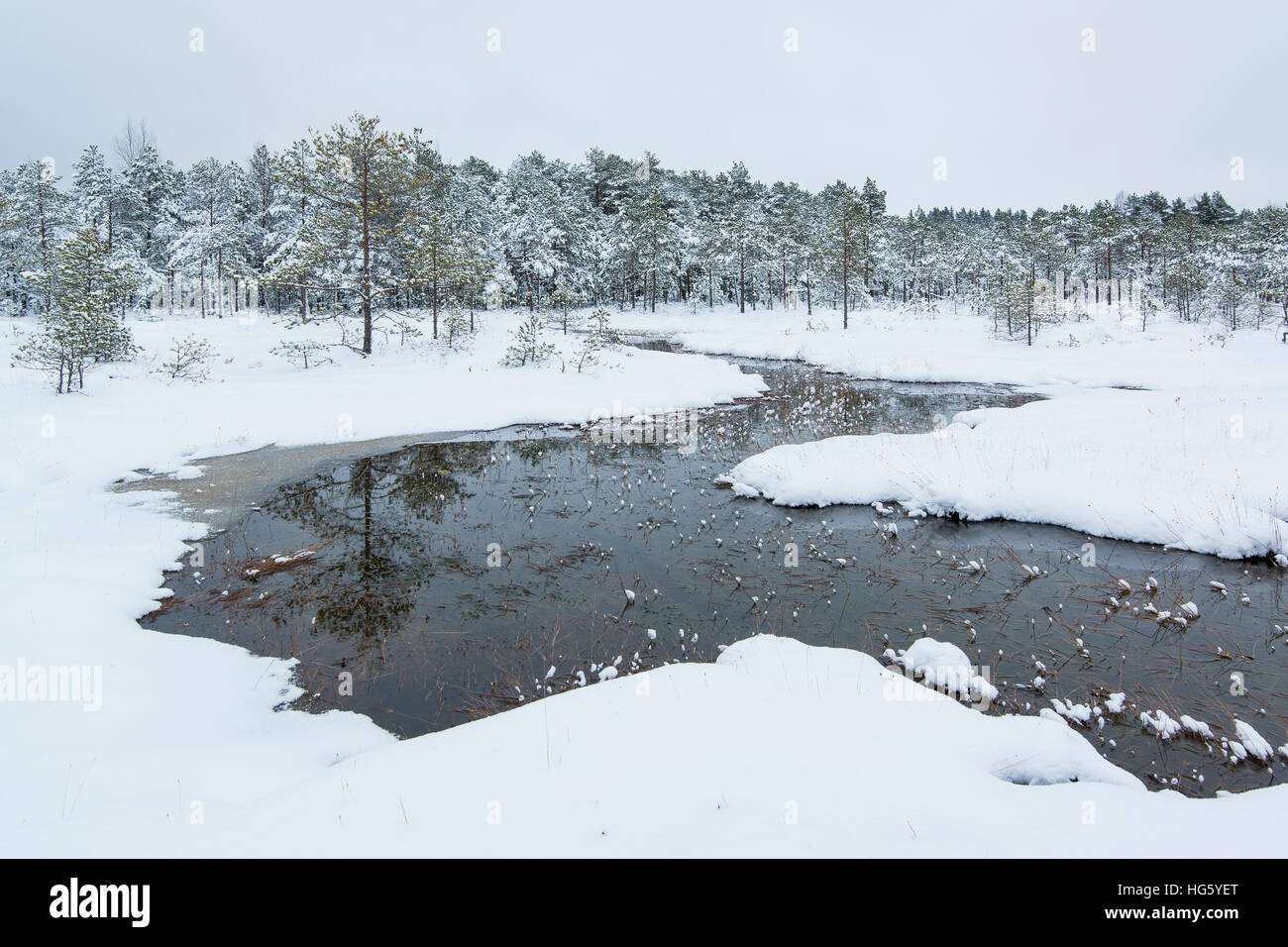 Bog snow deals