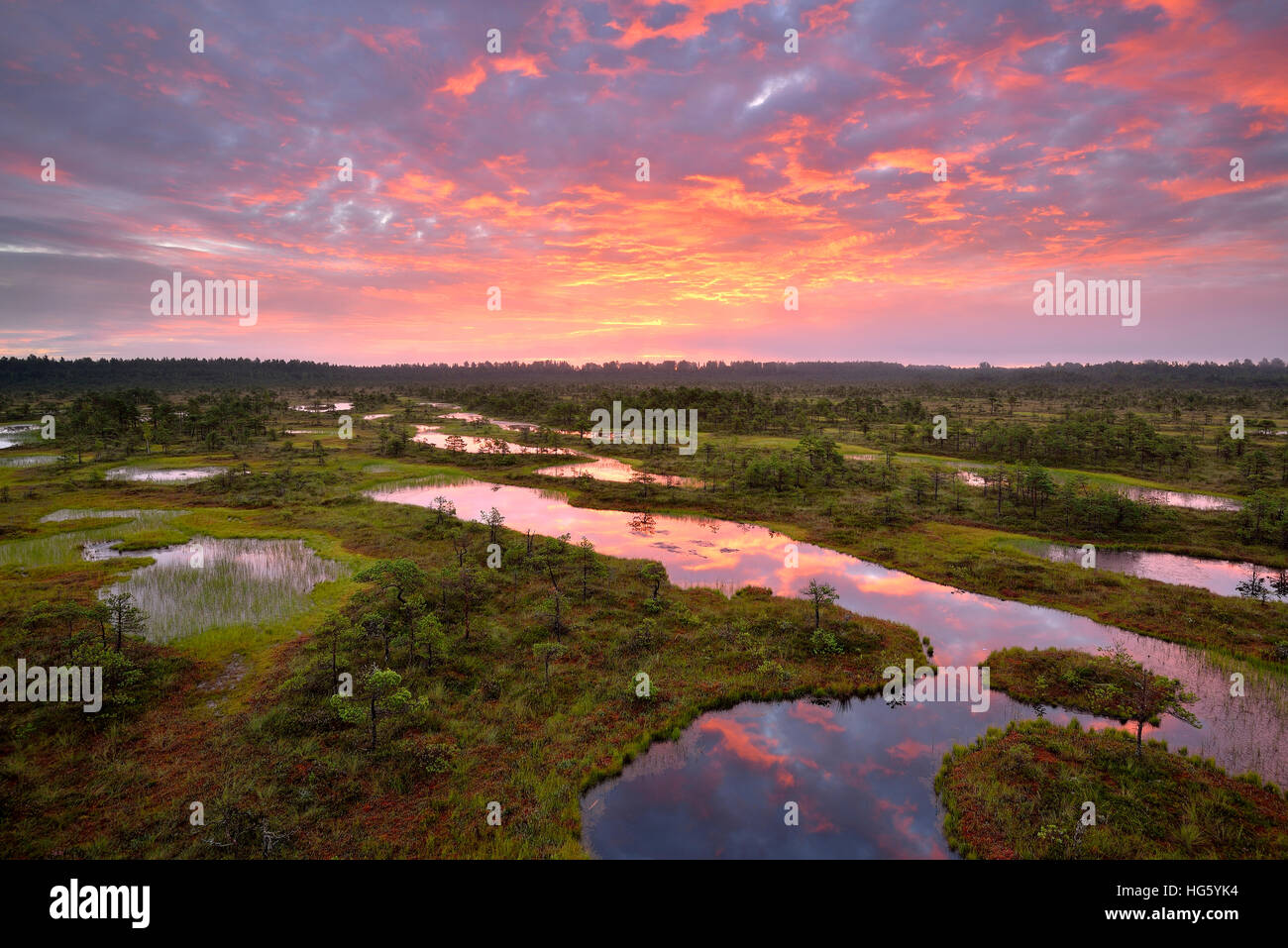 Colours in the morning sky painted by the sunrise, Endla nature reserve, Estonia Stock Photo