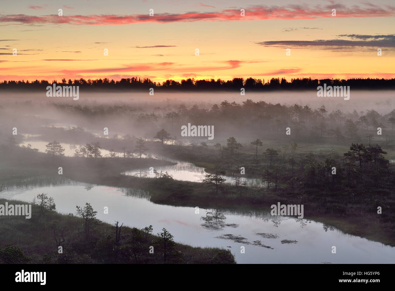 Mist in the bog before the sunrise Stock Photo