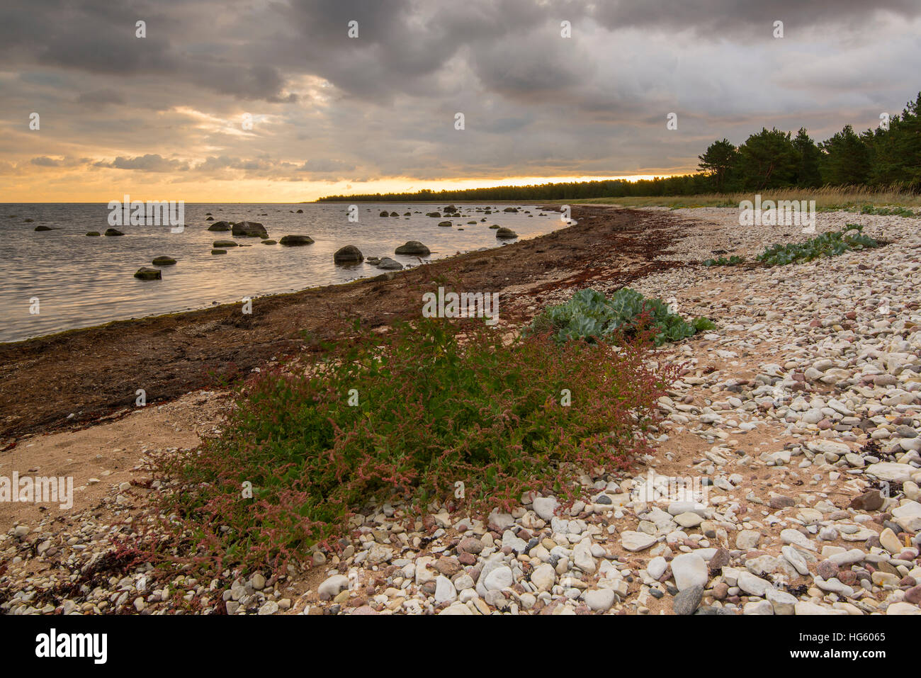 Rocky coast of Hiiumaa at sunrise, Estonia Stock Photo
