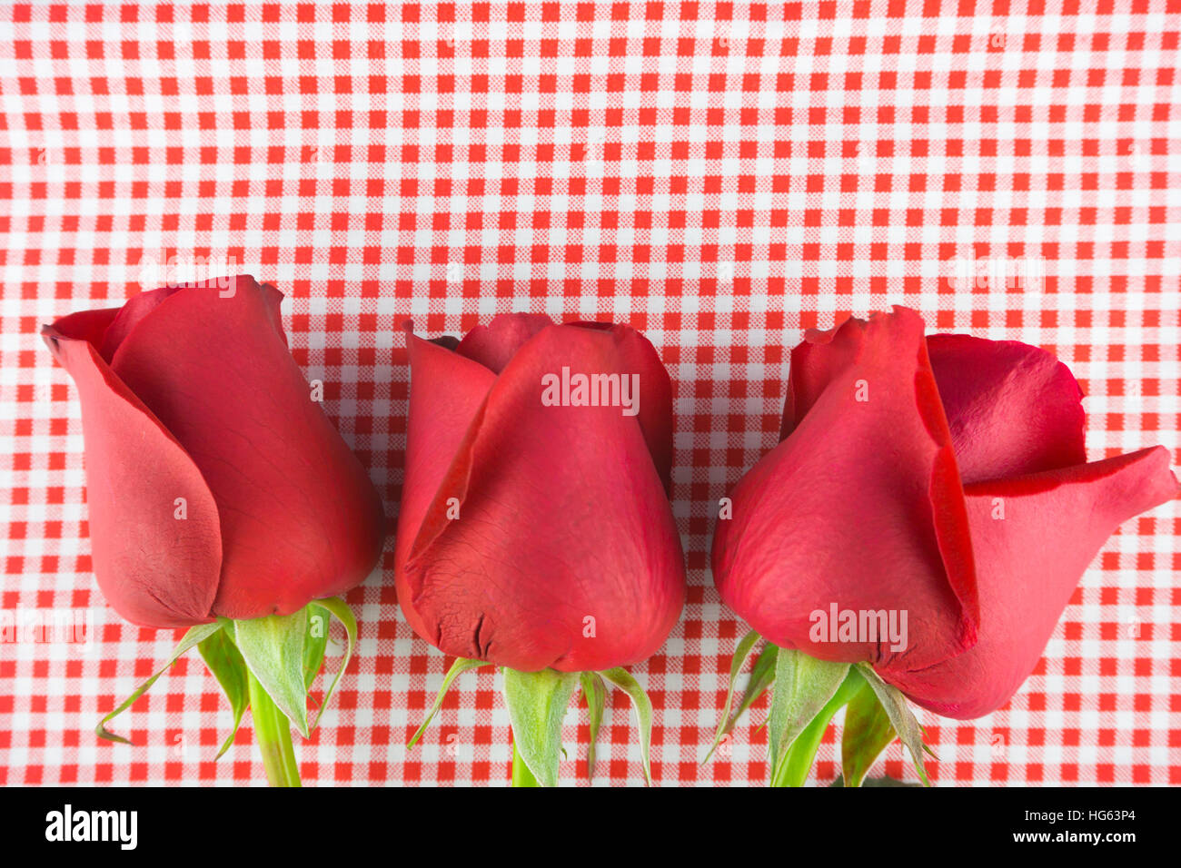 Red rose  image of Valentines day . Stock Photo