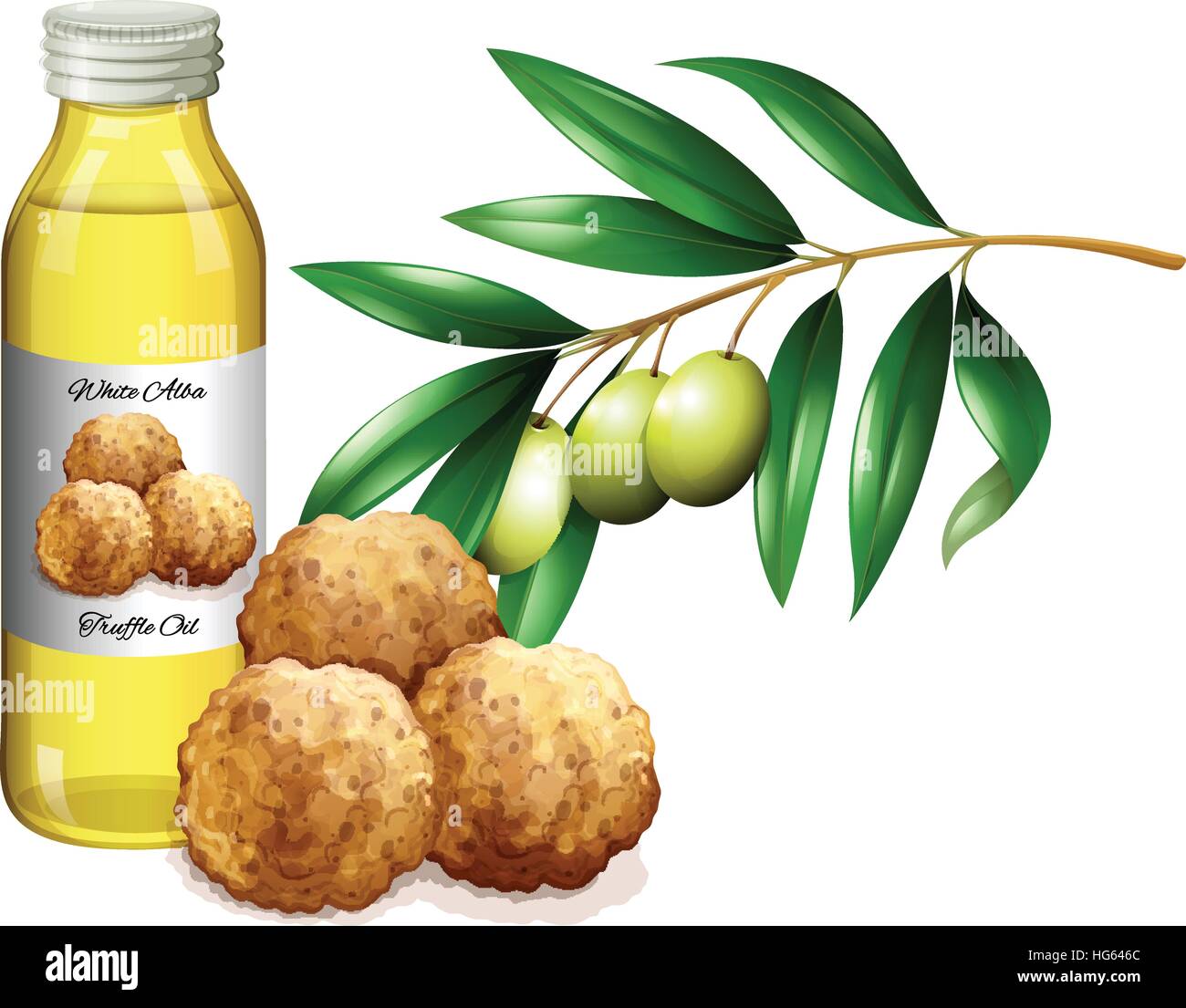 Truffle oil in bottle and fresh vegetables illustration Stock Vector