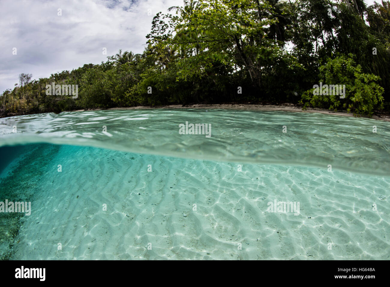 Clear water bathes a tropical island in Raja Ampat, Indonesia. Stock Photo
