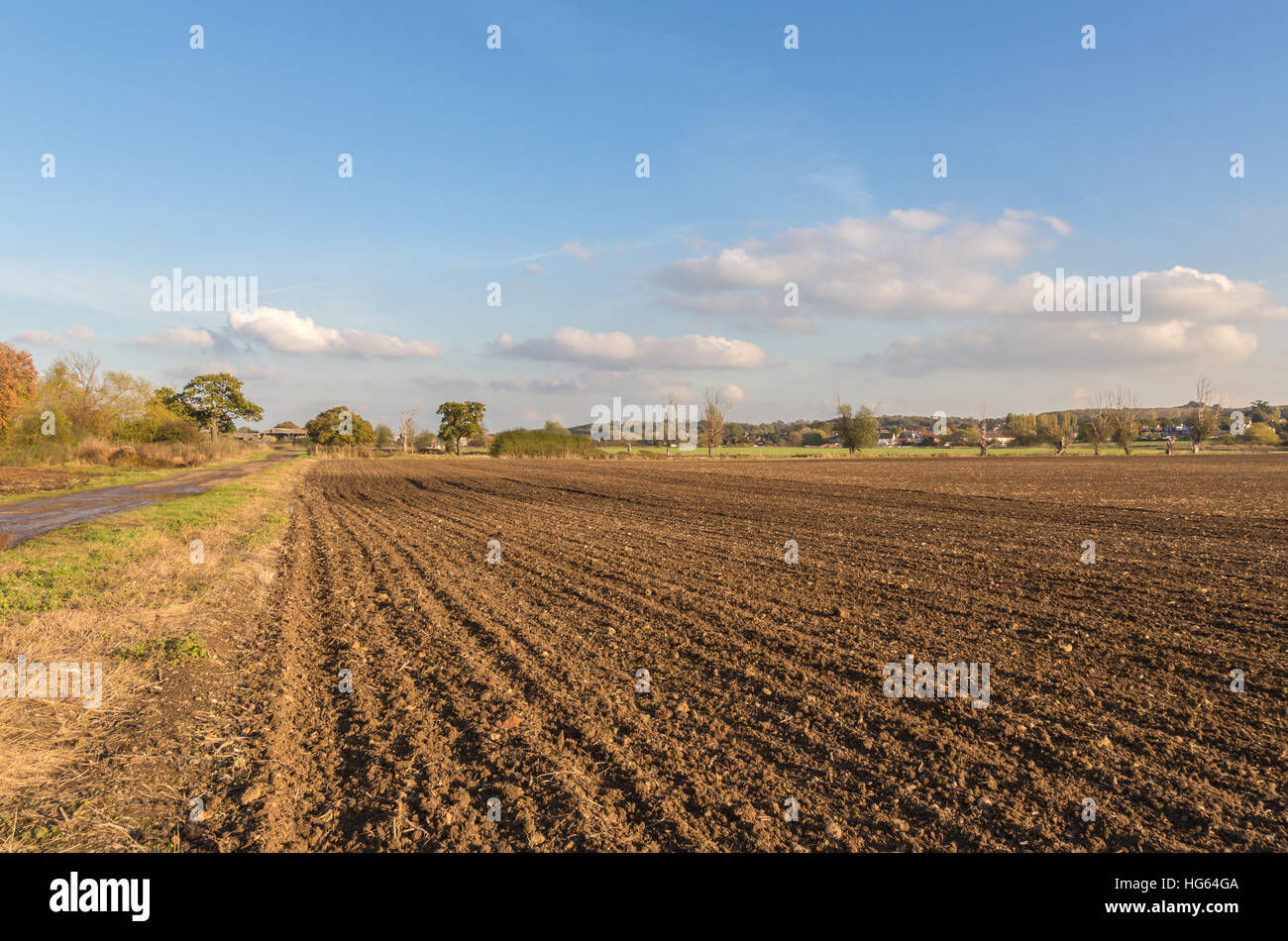 Newly plowed field in the Essex countryside in November on a bright sunny afternoon. Stock Photo