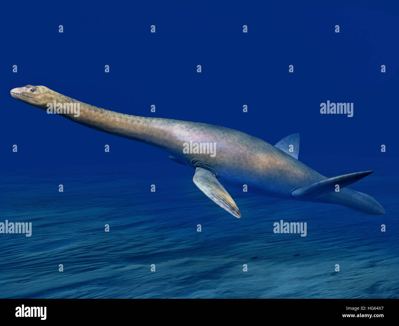 Cryptoclidus is an extinct plesiosaur from the Late Jurassic of England. Stock Photo