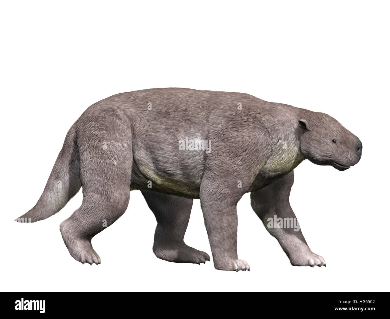 Barylambda is a pantodont mammal from the Paleocene epoch. Stock Photo