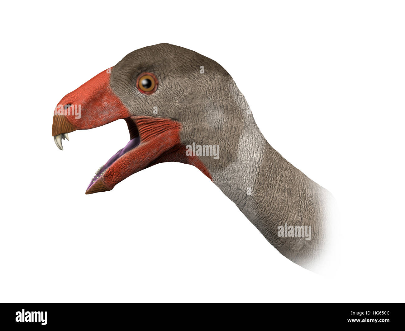 Incisivosaurus is a theropod dinosaur from the Early Cretaceous period. Stock Photo