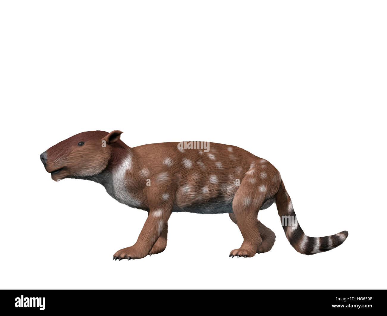 Pantolambda bathmodon is a pantodont from the Paleocene epoch. Stock Photo