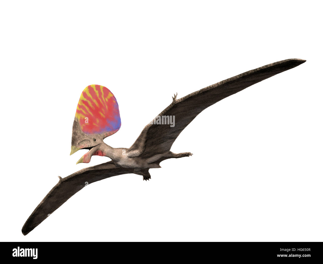 Pterodactyl, Illustration - Stock Image - C027/4502 - Science Photo Library