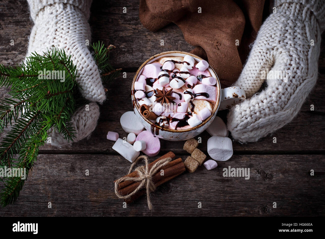 Woman in mittens holding a cup of hot chocolate with marshmallow. Selective focus Stock Photo