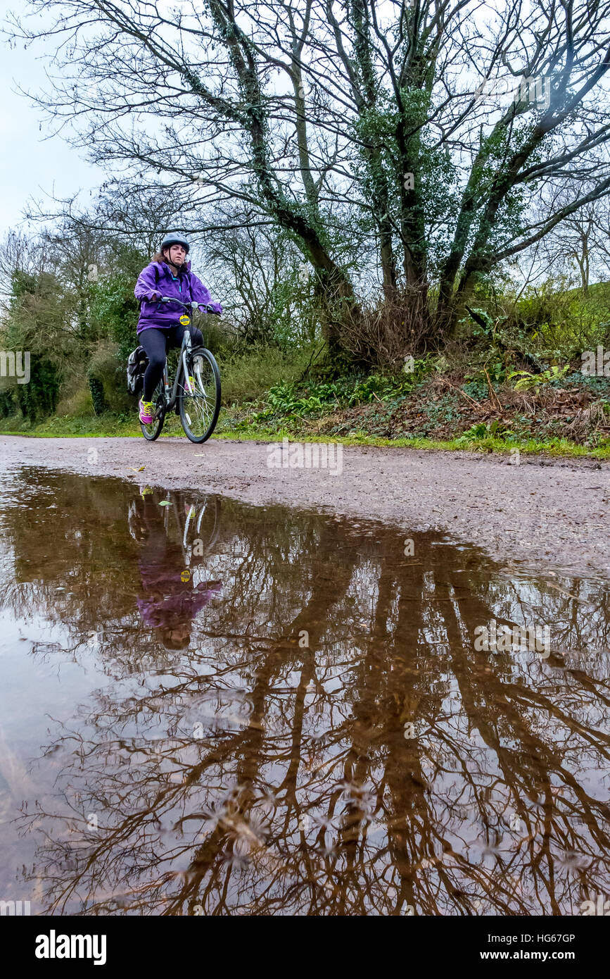 Cyclist on the Camel Trail in Cornwall Stock Photo