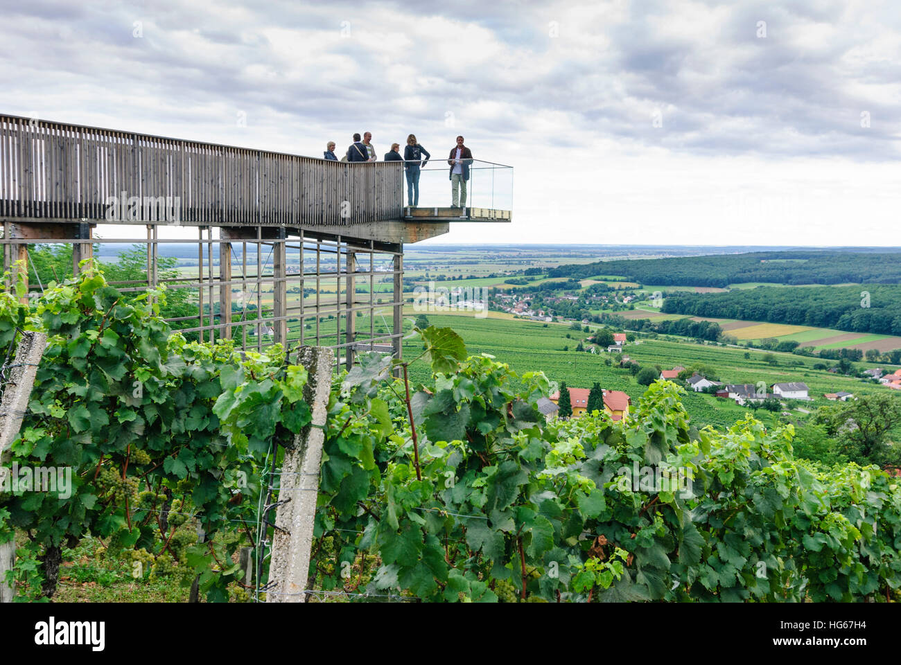 Deutsch Schützen-Eisenberg: Lookout platform over vineyard with view into  the Pinkatal, , Burgenland, Austria Stock Photo - Alamy