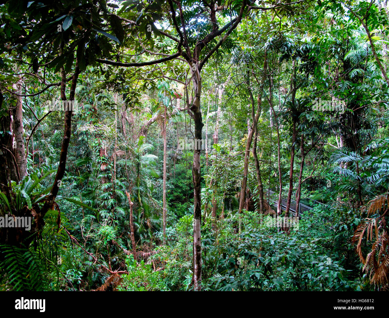 Eco Adventures in Costa Rica Stock Photo