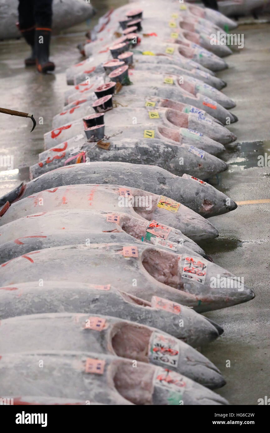 Frozen tuna are displayed at Tsukiji wholesale fish market on January 5, 2016 in Tokyo, Japan. The first auction of the new year was held early on Thursday morning and the biggest bid of the day was 74.2 million Yen (approx. US$ 630,000), by Kiyoshi Kimura who runs the Sushi Zanmai chain of restaurants, for a single 212 kg bluefin tuna captured off the coast of Aomori in northern Japan. © AFLO/Alamy Live News Stock Photo