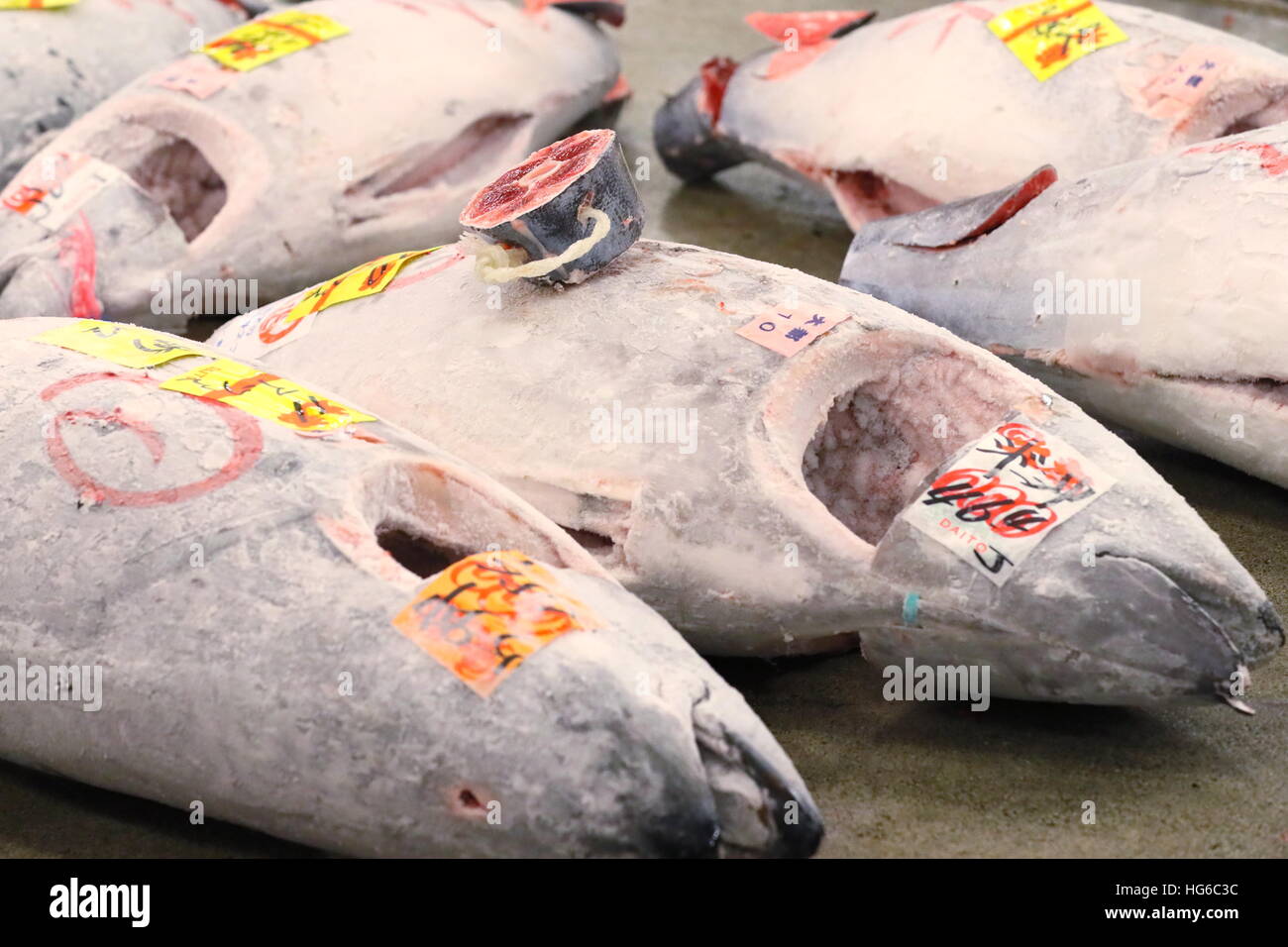 Frozen tuna are displayed at Tsukiji wholesale fish market on January 5, 2016 in Tokyo, Japan. The first auction of the new year was held early on Thursday morning and the biggest bid of the day was 74.2 million Yen (approx. US$ 630,000), by Kiyoshi Kimura who runs the Sushi Zanmai chain of restaurants, for a single 212 kg bluefin tuna captured off the coast of Aomori in northern Japan. © AFLO/Alamy Live News Stock Photo