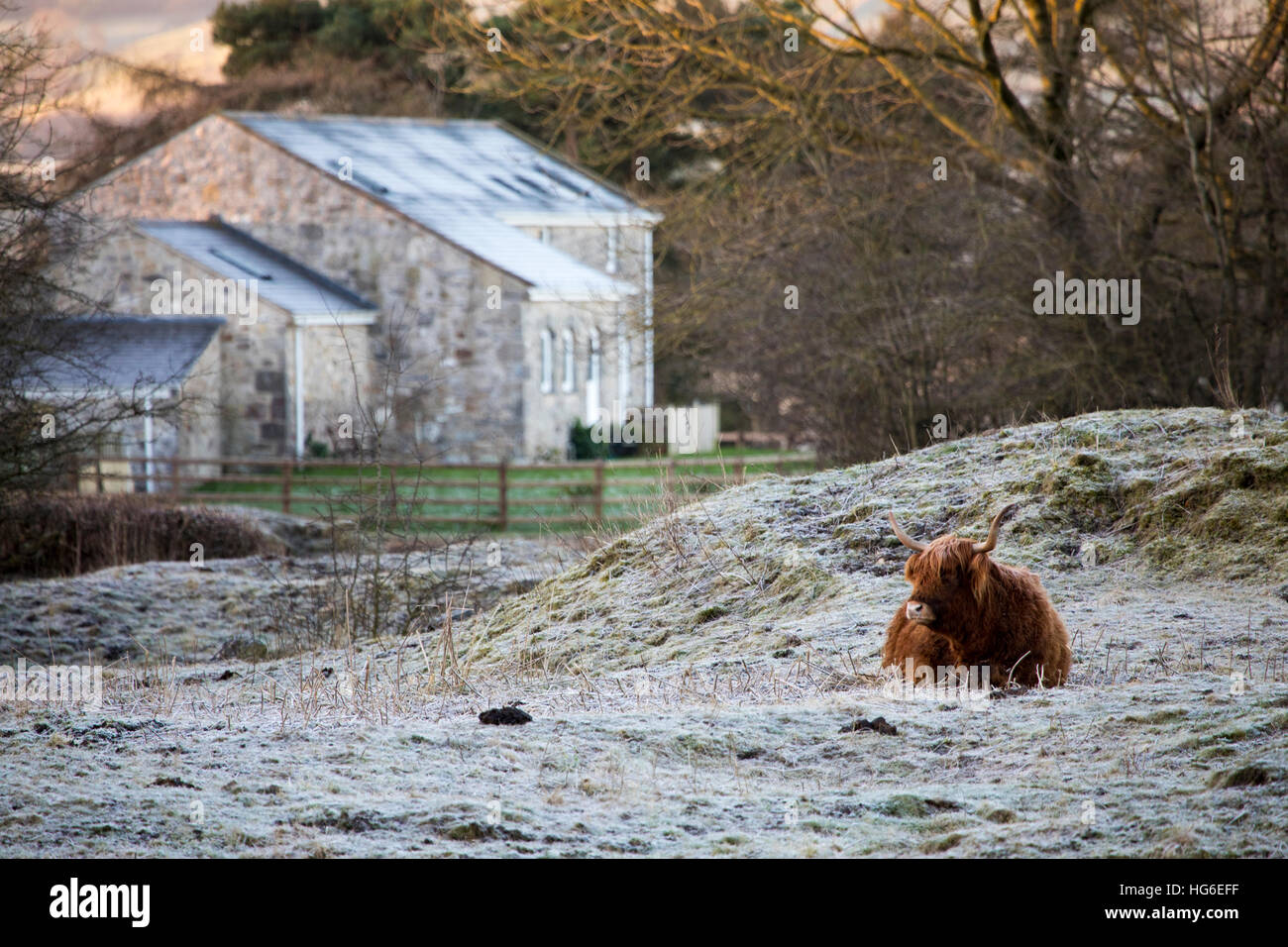 Moel y crio hires stock photography and images Alamy