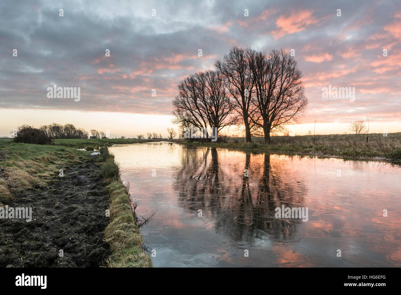 Willingham Cambridgeshire UK 5th January 2017. The sky bursts into pink