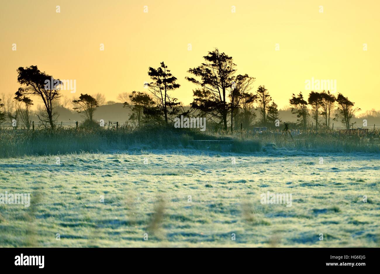 Pevensey Levels High Resolution Stock Photography and Images - Alamy