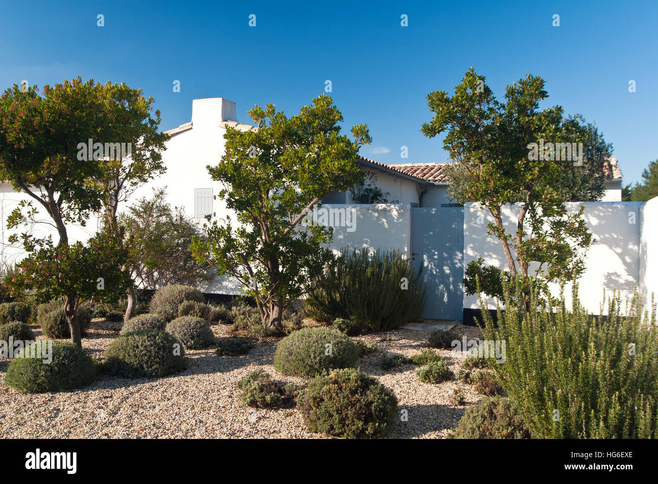 Dry garden with gravel,(view from the street), ile de Re, France Stock Photo