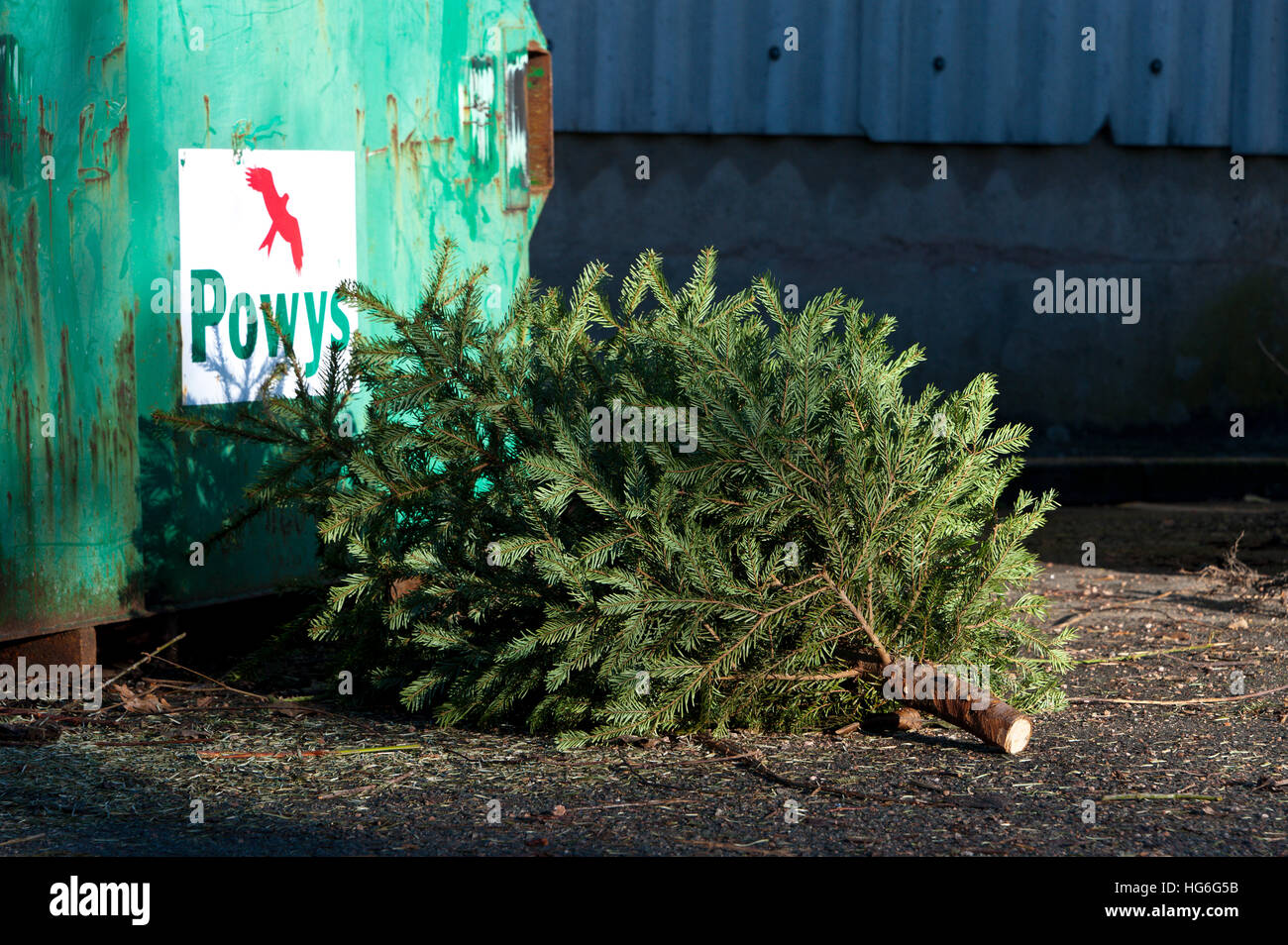 Builth Wells, Powys, Wales, UK. 5th January, 2017. Discarded Christmas trees are seen at the garden waste recycling area in the small Welsh market town of Builth Wells in Powys, UK. © Graham M. Lawrence/Alamy Live News. Stock Photo