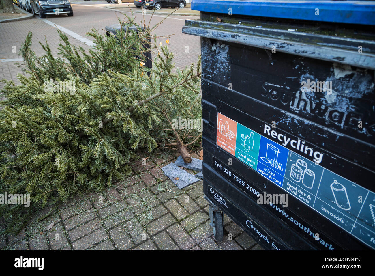 Hanover Christmas Tree Dump 2017 2022 Page 5 - Christmas Tree Disposal High Resolution Stock Photography And  Images - Alamy