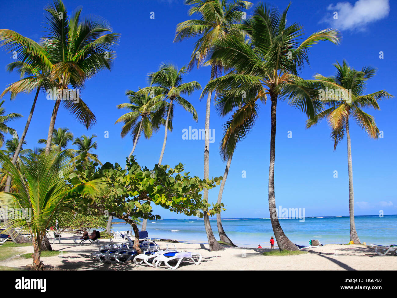 Tropical beach with blue long chairs and grass on the foreground Stock Photo